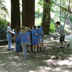 SBBG Nature Camp, 2006, in the Redwood Section with Joan Evans