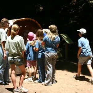 SBBG Nature Camp, 2006, examining the redwood cross-section with Joan Evans