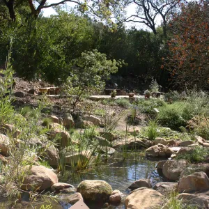 Discovery Garden, SBBG event location
