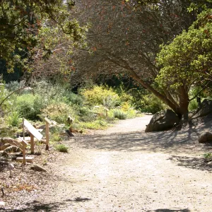Discovery Garden, SBBG event location