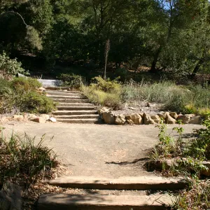 Meadow View gardens, SBBG event location