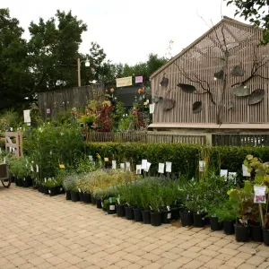 Courtyard display, Fall Plant Sale Pre-Sale event, 2006