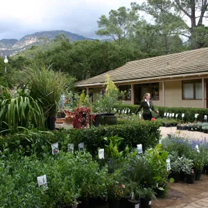 Joan Evans and Bruce Reed, Fall Plant Sale Pre-Sale event, 2006