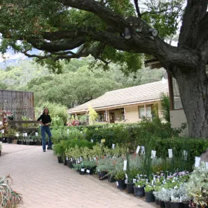 Carol Bornstein, Fall Plant Sale Pre-Sale event, 2006