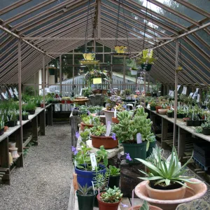 Garden Growers Nursery, Fall Plant Sale Pre-Sale event, 2006