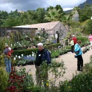 Fall Plant Sale Pre-Sale event, 2006