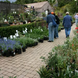 Fall Plant Sale Pre-Sale event, 2006