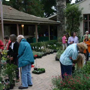 Fall Plant Sale Pre-Sale event, 2006