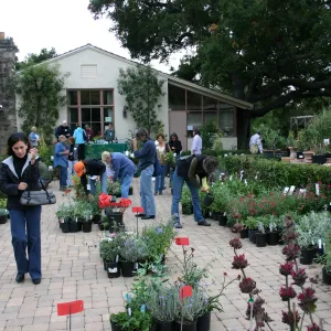 Fall Plant Sale Pre-Sale event, 2006
