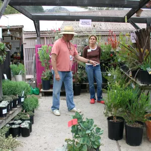 Fall Plant Sale Pre-Sale event, 2006