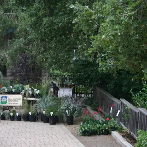 San Marcos Growers display, Fall Plant Sale Pre-Sale event, 2006