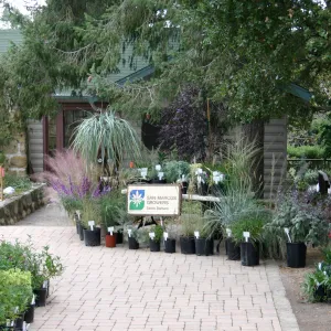 San Marcos Growers display, Fall Plant Sale Pre-Sale event, 2006
