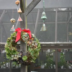 succulent wreath, bell chimes, Fall Plant Sale Pre-Sale event, 2006