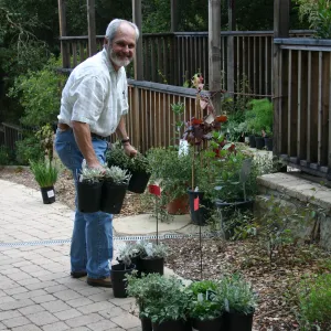 Fall Plant Sale Pre-Sale event, 2006