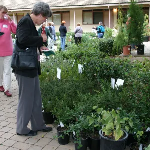 Fall Plant Sale Pre-Sale event, 2006