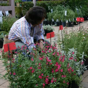 Fall Plant Sale Pre-Sale event, 2006