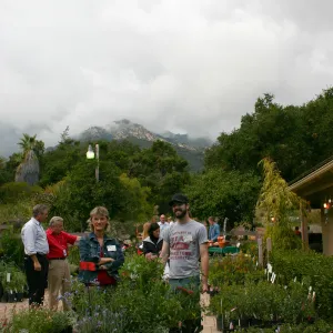 Fall Plant Sale Pre-Sale event, 2006