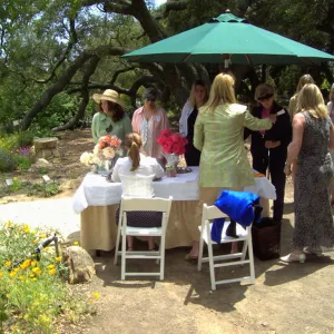 reception desk, High Tea in the Garden