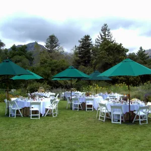 event set up in the Meadow, High Tea in the Garden