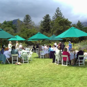 event set up in the Meadow, High Tea in the GardenHigh Tea in the Garden