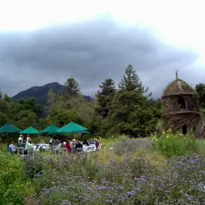 event set up in the Meadow, High Tea in the Garden
