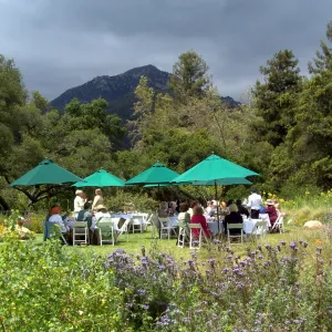 event set up in the Meadow, High Tea in the GardenHigh Tea in the Garden