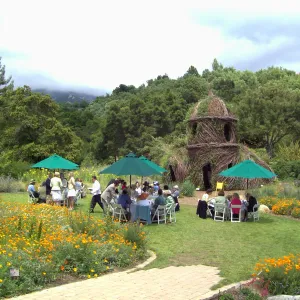 event set up in the Meadow, High Tea in the GardenHigh Tea in the Garden