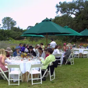 High Tea in the Garden