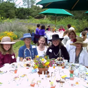 High Tea in the Garden