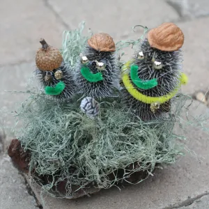 Holiday Crafts at SBBG