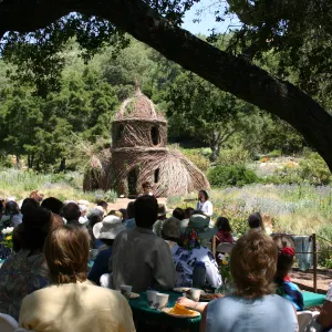Volunteer Luncheon, 2005, under the oaks