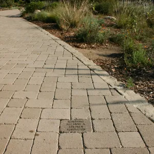 Milestone paver stones, dedication, rememberance, pathway along the Meadow