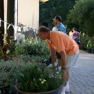 shopping at the Fall Plant Sale, 2005
