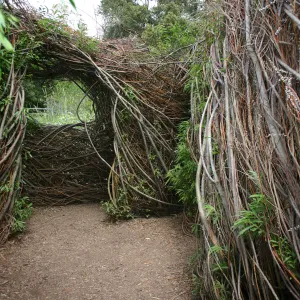 Toad Hall, interior