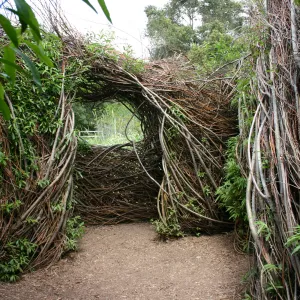 Toad Hall, interior