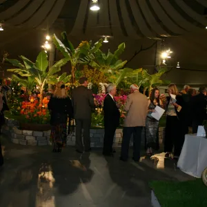Orchid Dinner, 2006