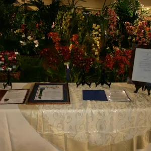 Orchid Dinner, 2006