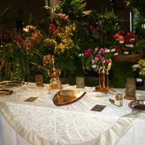 Orchid Dinner, 2006