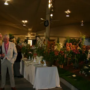 Orchid Dinner, 2006