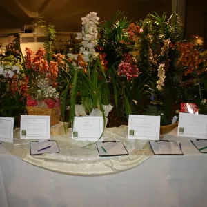 Orchid Dinner, 2006