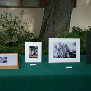 SCAPE Reception at SBBG