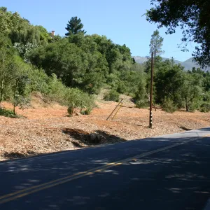 Mission Canyon Road after removal of Eucalyptus trees
