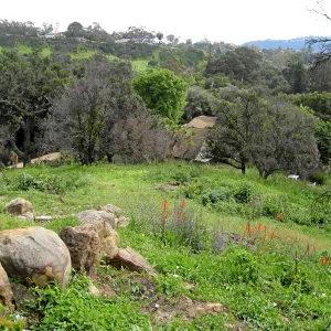 Looking south from Gane house site to staff residences