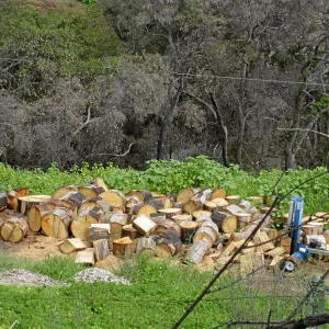 Log splitter at work east of Gane house site
