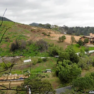 Looking east from Gane house site post fire