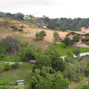 Looking east from Gane house site post fire