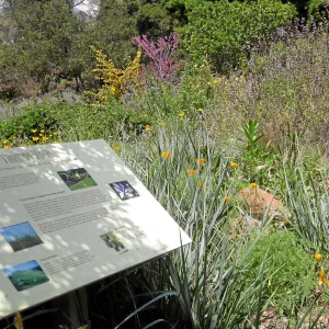 Grasslands sign on upper east side of Meadow