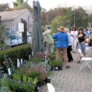 Mediterranean Skys Symposium Garden tour. 