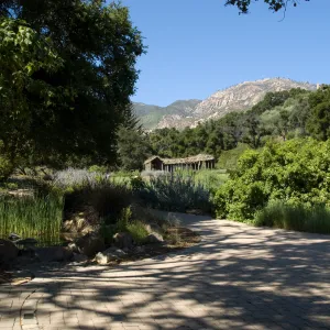 Meadow view from the Blaksley Boulder, SBBG 2 years after the Jesusita Fire