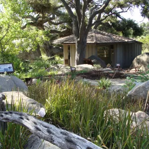 Information Kiosk, view from the Meadow Pond and Brook and Orchid Display side, SBBG 2 years after the Jesusita Fire